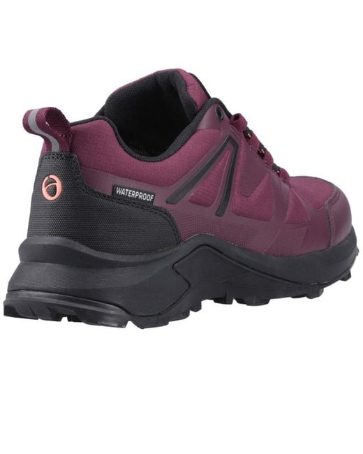 Cotswold Purple Horton Low Walking Shoes