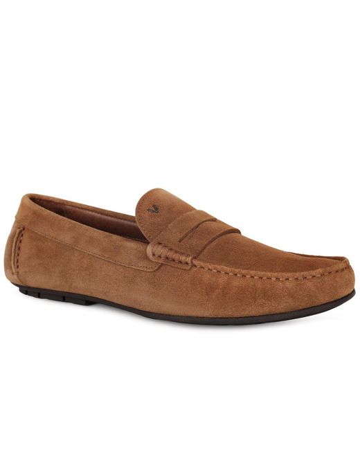 Martinelli Brown Pacific Loafers for men