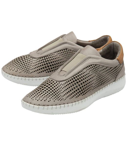 Lotus Multicolor Lorena Trainers