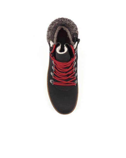 Lunar Black Candy Ankle Boots