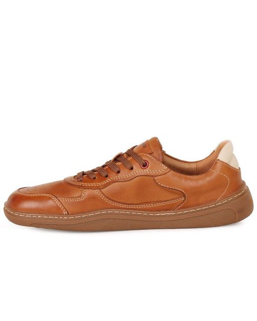 Pikolinos Brown Aranjuez Trainers