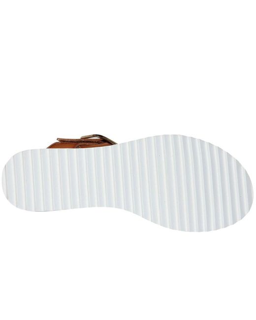 Skechers Brown Bobs Desert Kiss Sunny Flair Sandals