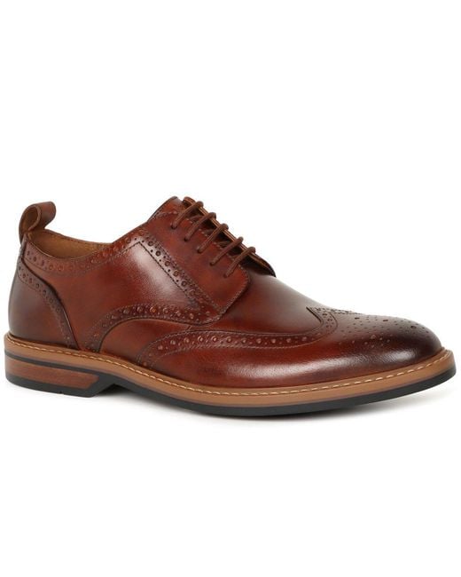 Clarks Brown Aldwin Limit Brogues for men