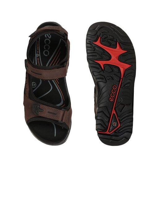 Ecco Brown Yucatan Rip Tape Fastening Sandals for men