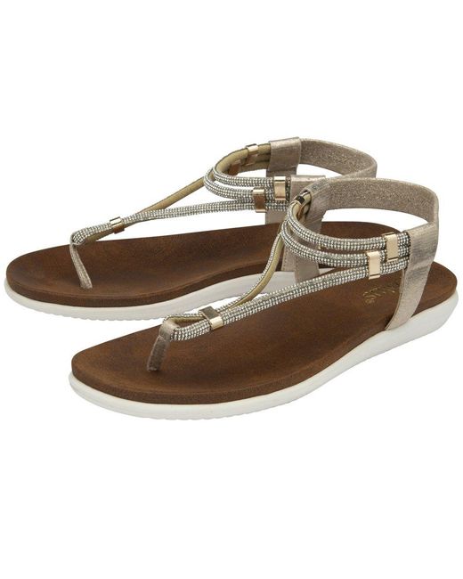 Lotus Metallic Chica Toe Post Sandals