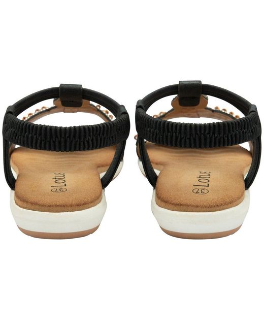 Lotus Black Bertolini Sandals