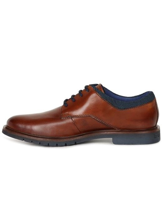 Bugatti Brown Century Shoes for men
