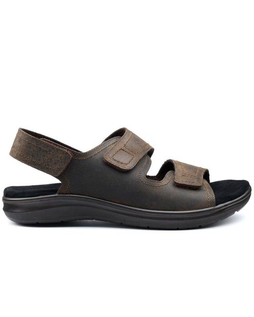 Hotter Brown Causeway Sandals for men