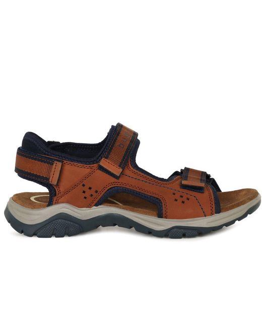 Bugatti Brown Waterside Sandals for men