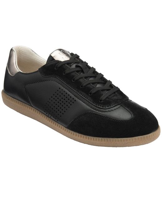 Lotus Black Frapporta Trainers