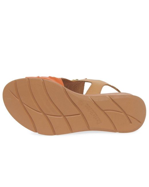 Paula Urban Brown Riviera Ii Sandals