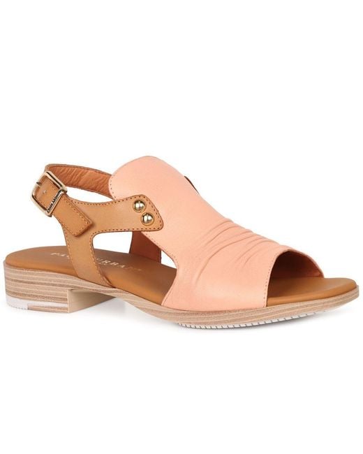 Paula Urban Brown Coastal Buckle Fastening Sandals