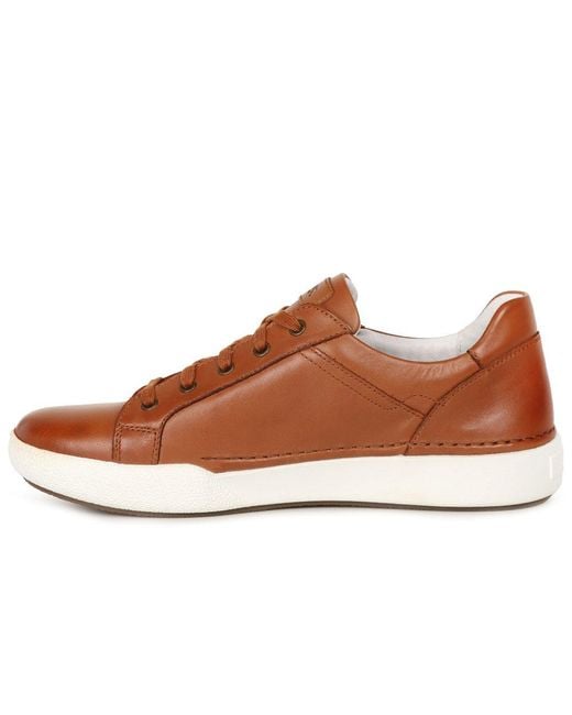 Josef Seibel Natural Claire 03 Trainers