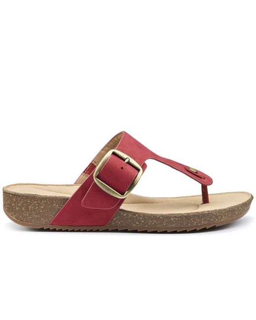 Hotter Pink Resort Toe Post Sandals