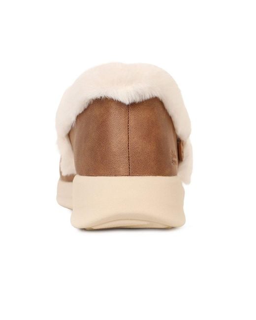 Skechers Brown Slip