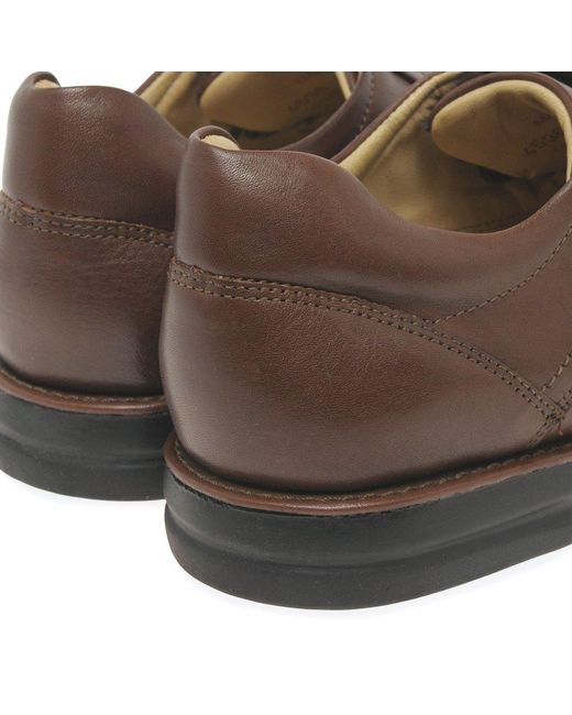 Anatomic & Co Brown Anatomic &Amp; Co Campling Formal Shoes for men