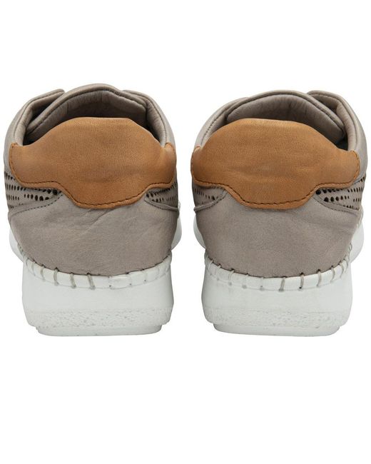 Lotus Multicolor Lorena Trainers