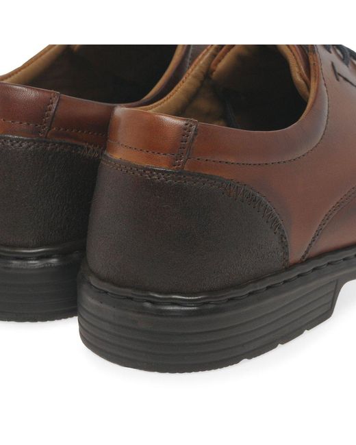 Josef Seibel Brown Alastair 01 Formal Lace Up Shoes for men