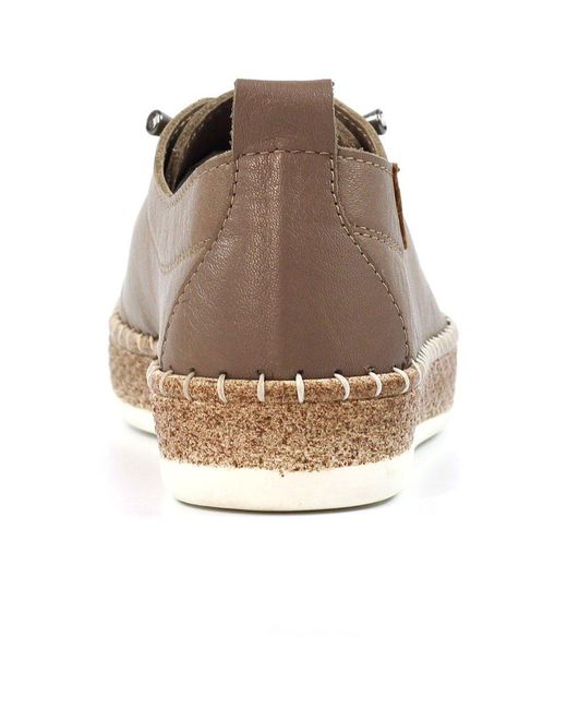 Lunar (GRS) Brown Evie Plimsoll Trainers