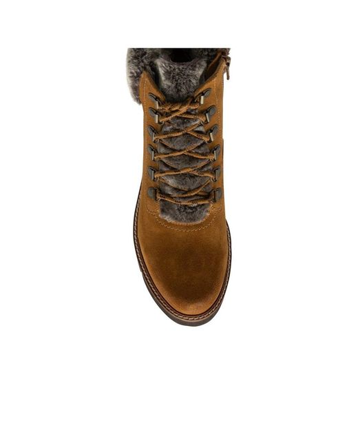 Joules chestnut hot sale ashwood walking boot