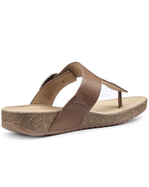 Hotter Brown Resort Toe Post Sandals