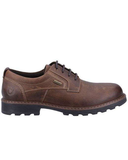 Cotswold Brown Tadwick Lace Up Shoes for men