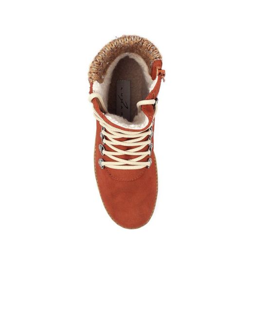 Lunar Brown Candy Ankle Boots