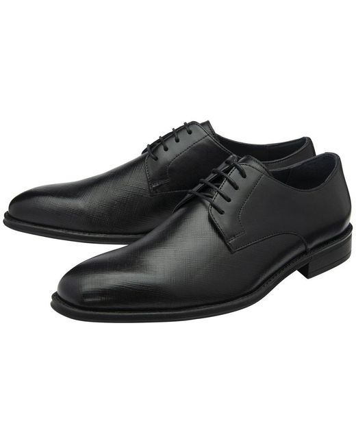 Lotus Black Ripon Derby Shoes for men