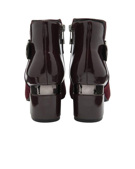 Lotus Purple Kirsty Ankle Boots