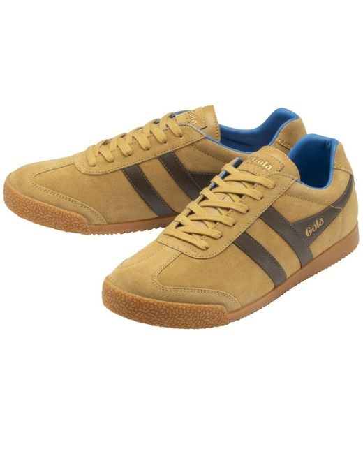 Gola Brown Harrier Trainers for men