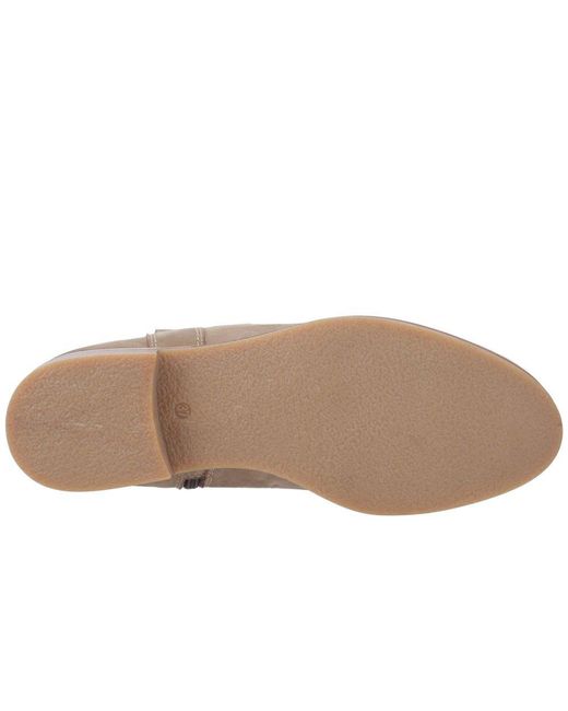 Cotswold Brown Signet Ankle Boots