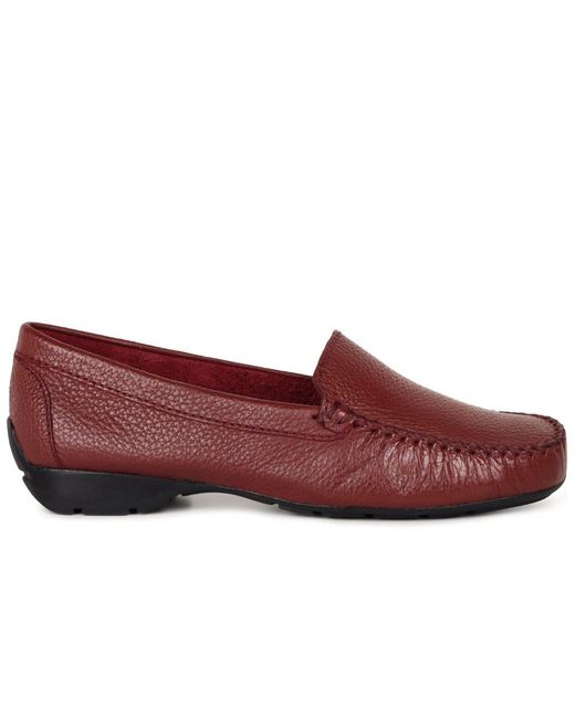 Charles Clinkard Red Sun Ii Moccasins