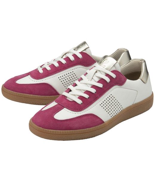 Lotus Purple Frapporta Trainers