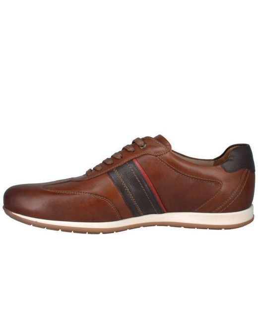 Josef Seibel Brown Colby 04 Trainers for men