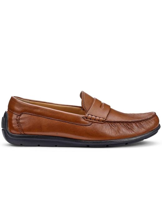 Hotter Brown Ewan Loafers for men