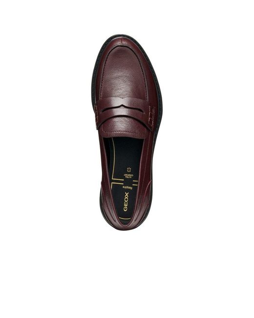 Geox Brown D Walk Pleasure F Moccasins