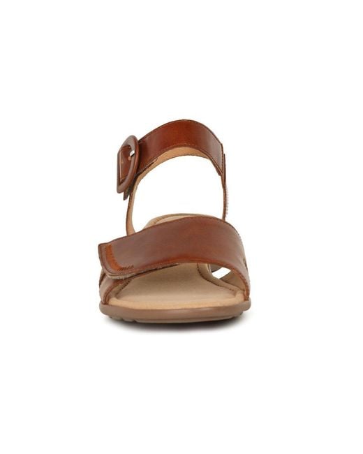 Gabor Brown Marion Sandals