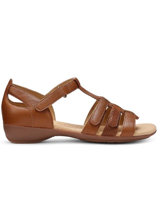 Hotter Brown Solei Sandals