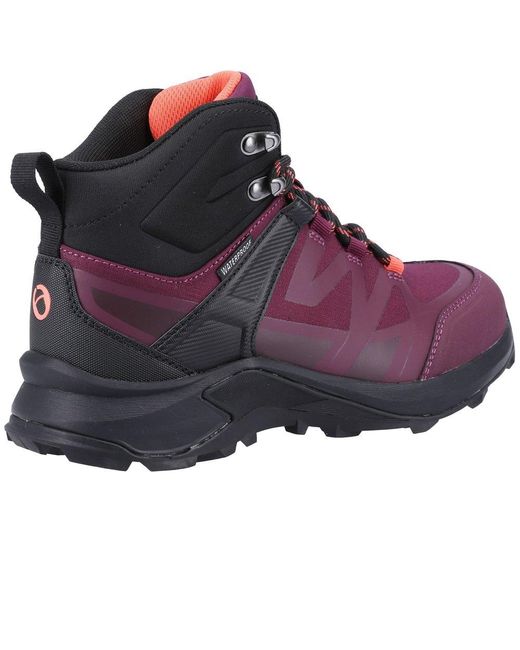 Cotswold Purple Horton Walking Boots