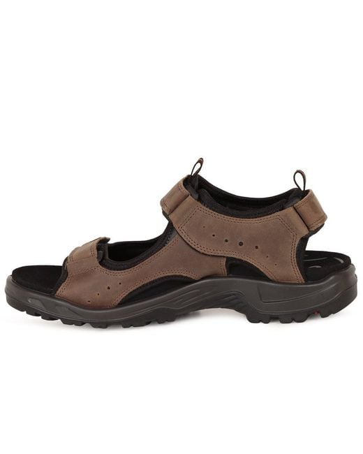 Ecco Brown Trail Casual Sandals for men