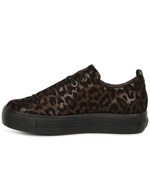 Paul Green Black Elina Trainers