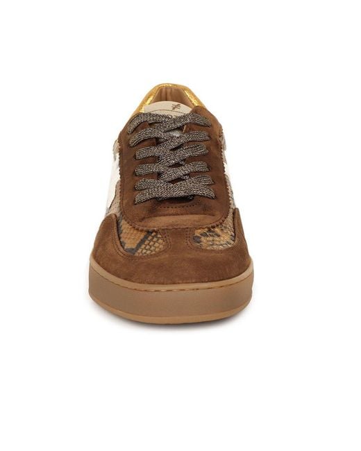 Another Trend Brown Iconic Ii Trainers