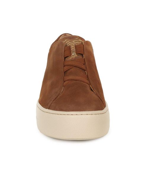 Paul Green Brown Eden Trainers