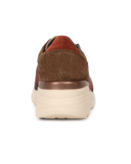 Waldläufer Brown Carla Trainers
