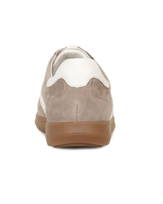 Caprice Gray Map Trainers