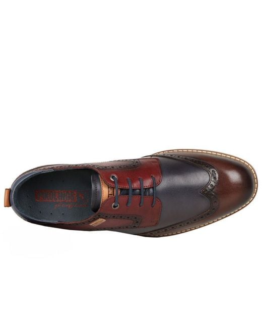 Pikolinos Brown Avila Wing Tip Brogues for men