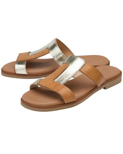 Lotus Brown Milena Sandals
