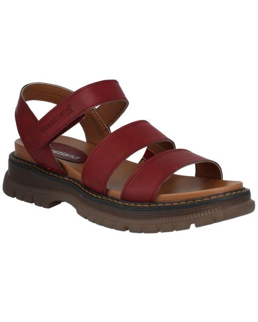 Westland Brown Peyton 08 Sandals