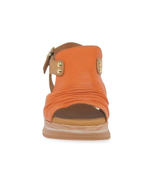 Paula Urban Brown Riviera Ii Sandals