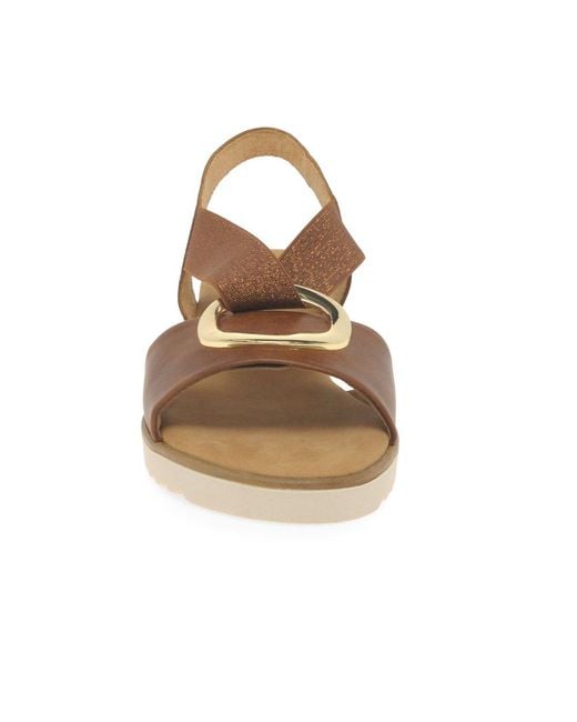 Gabor Brown Reese Sandals